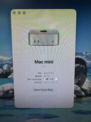 Garantili Apple Mac Mini A3238 M4 24/256