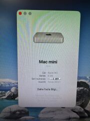 Kutulu Tertemiz Apple Mac Mini A2686 M2 8/256